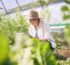 Formulations d’ivermectine – Principales différences dans les utilisations vétérinaires, agricoles et dans la recherche